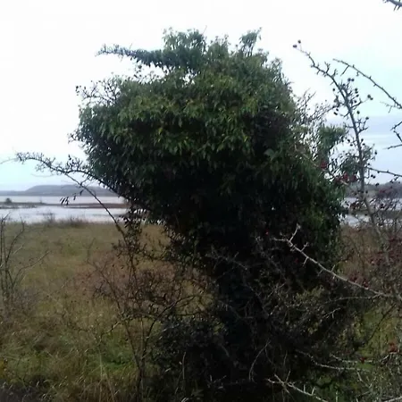 Lake View Coole Near Mullingar Holiday home *
