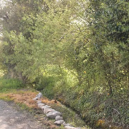 Lake View Coole Near Mullingar *
