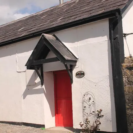Lake View Coole Near Mullingar *