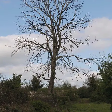 Lake View Coole Near Mullingar *